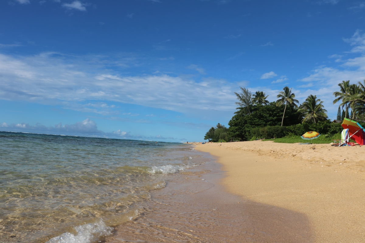 clear blue waters 